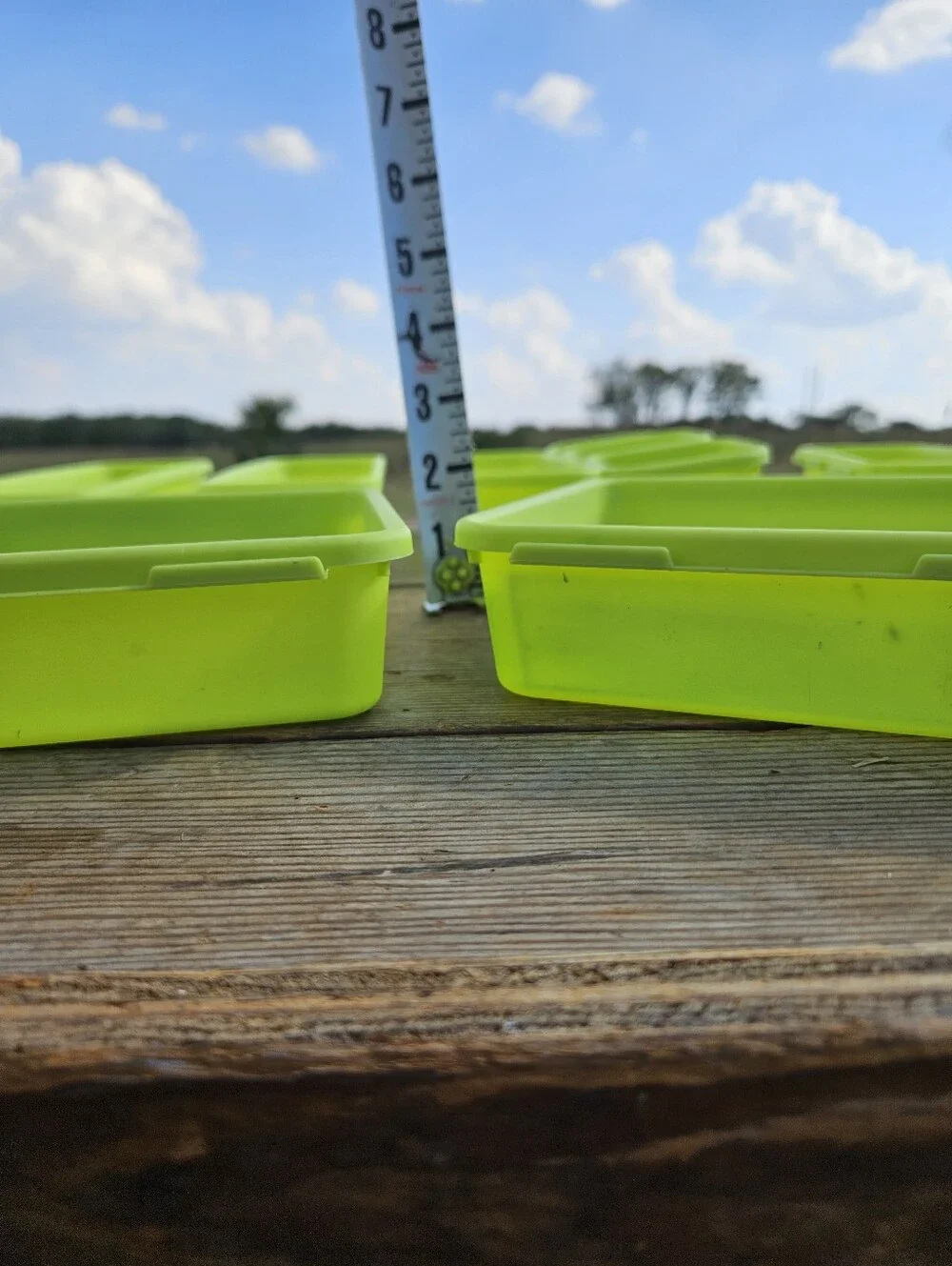 N/A versatile lime